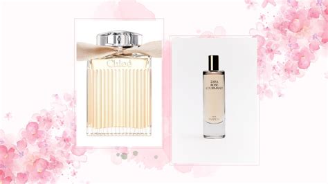 dupe of chloe perfume|zara rose gourmand perfume dupe.